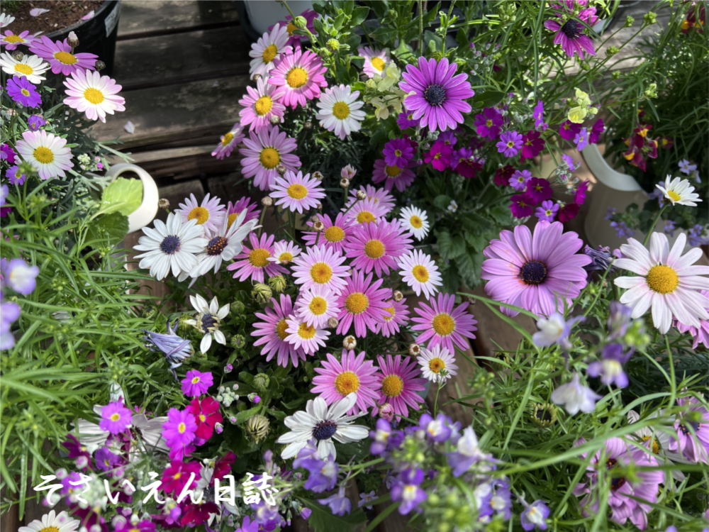 園芸書の読み方 季節をひらく