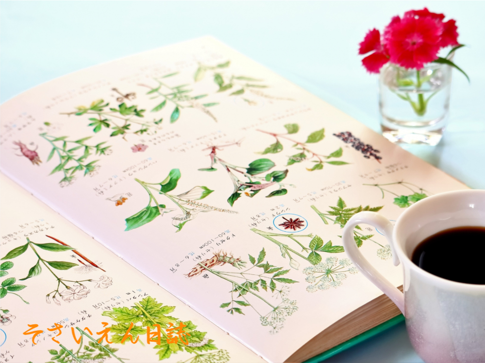 園芸書の読み方 植物図鑑