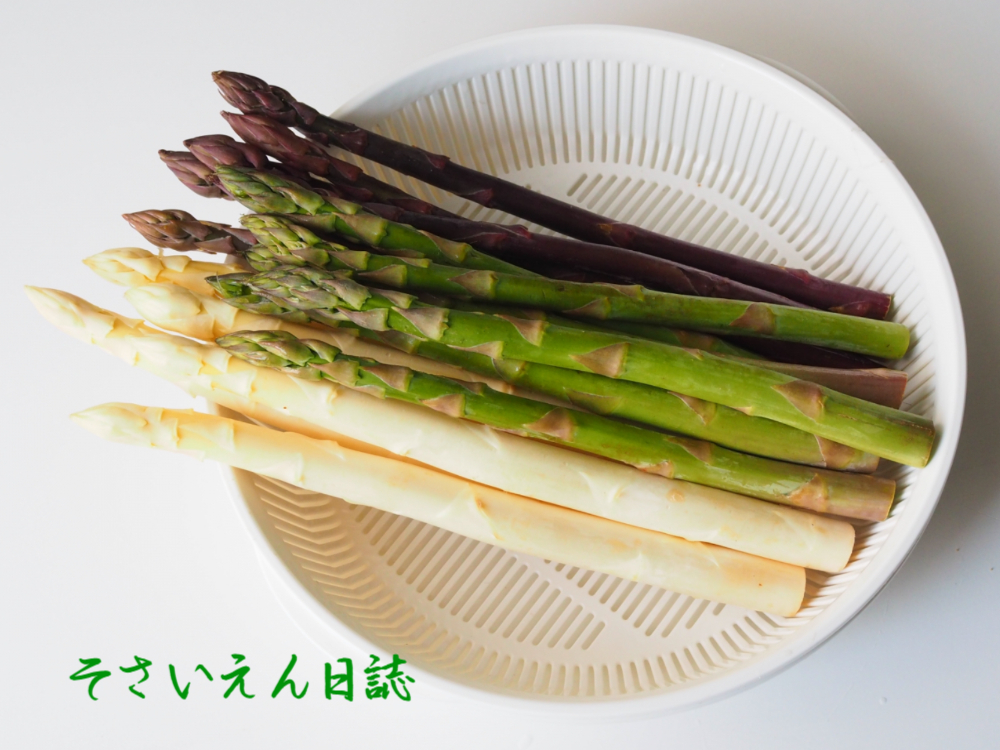 北海道アスパラ 3色