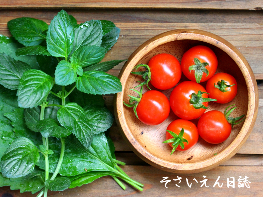 ベランダで収穫しました