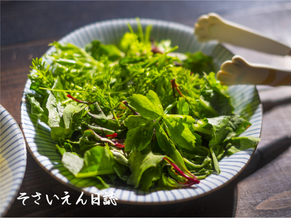 間引き野菜のサラダ