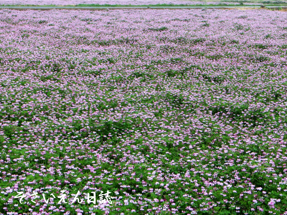 土と肥料 工業の知恵を読む