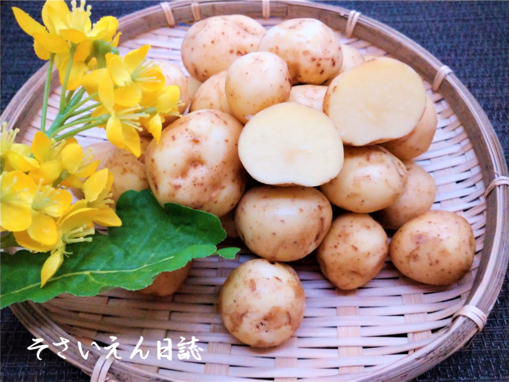 小粒の新じゃが