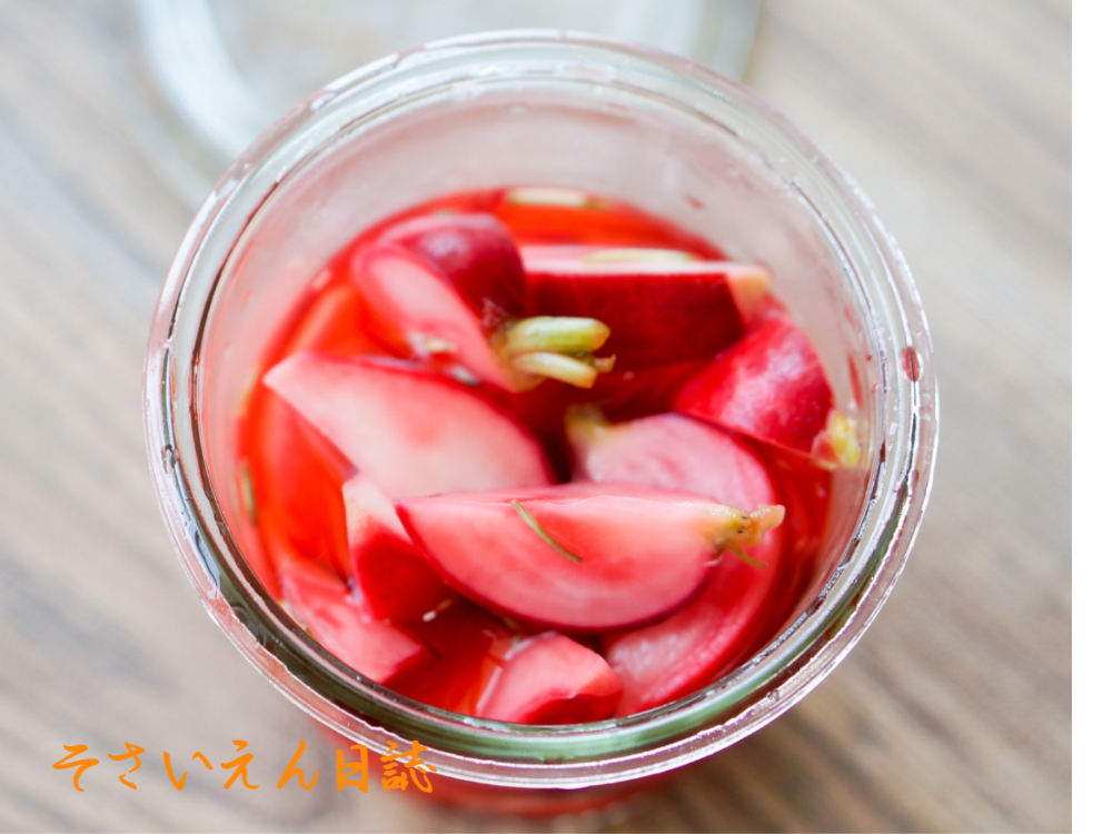 ラディッシュの甘酢漬け