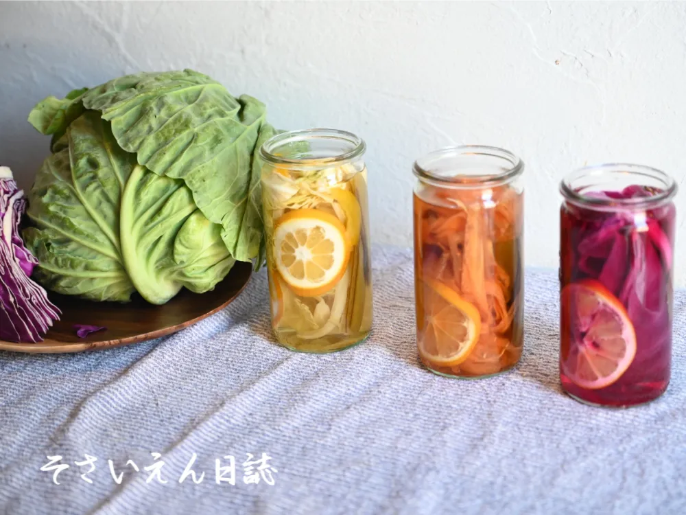 春キャベツと赤キャベツのピクルス