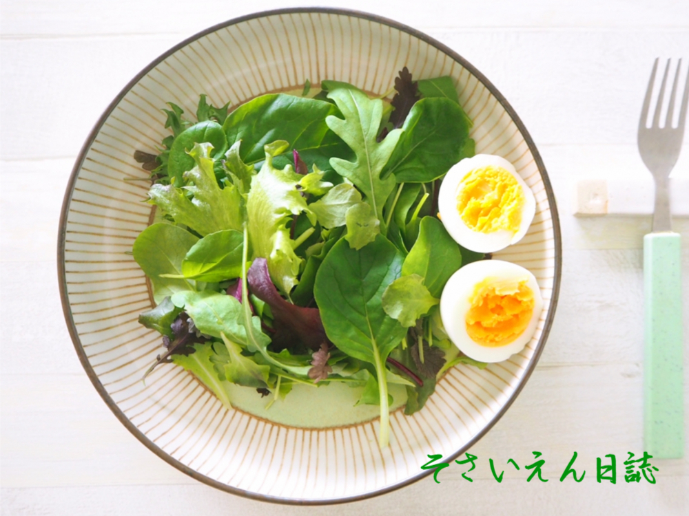 初夏収穫 フレッシュサラダ