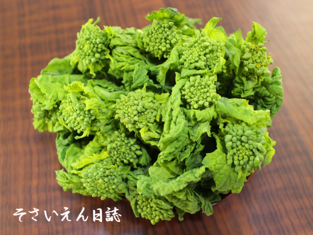 菜の花の由来、花菜