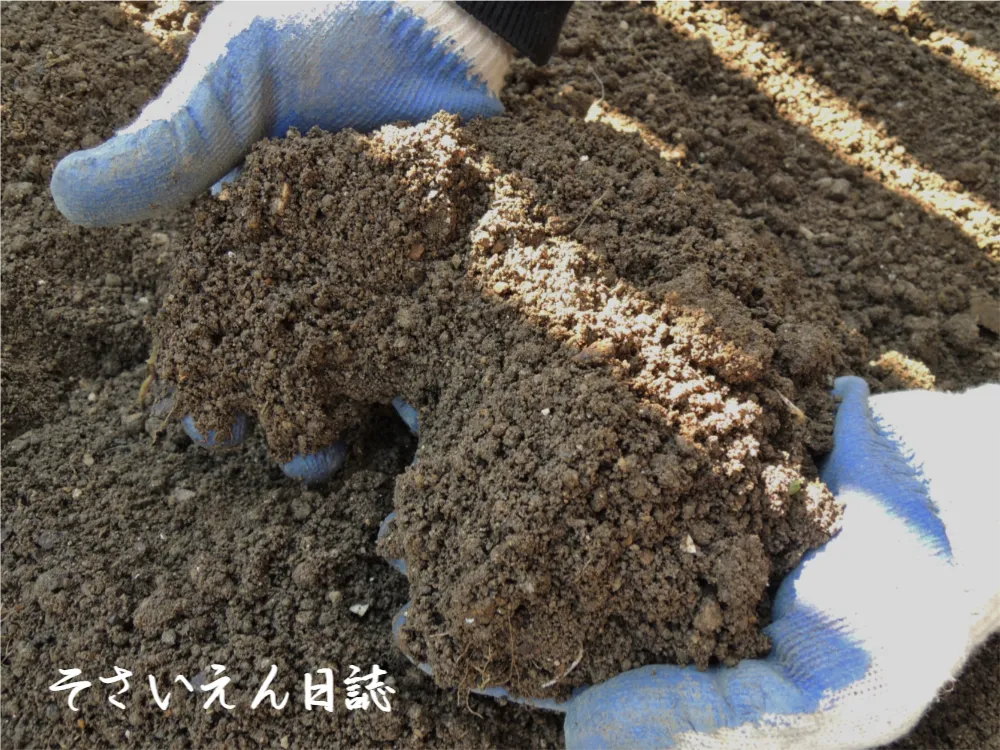 家庭菜園の土づくり