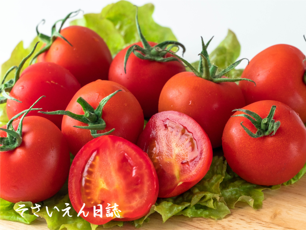 フルーツトマト