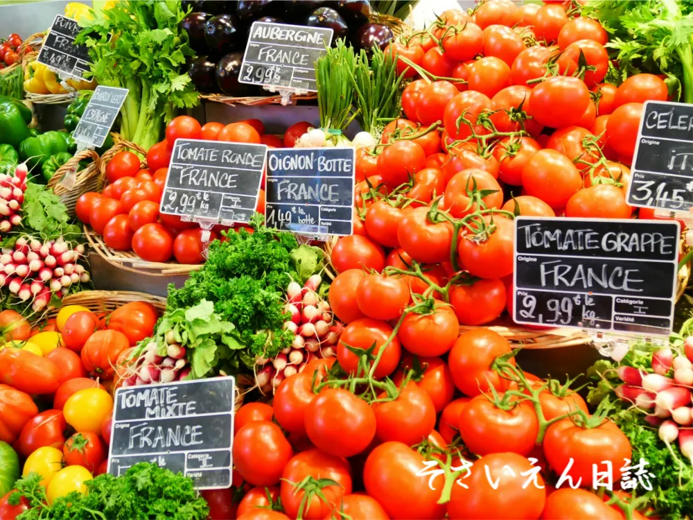 トマト物語 赤い旅路