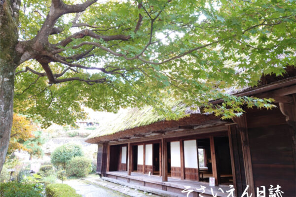 新緑の古民家