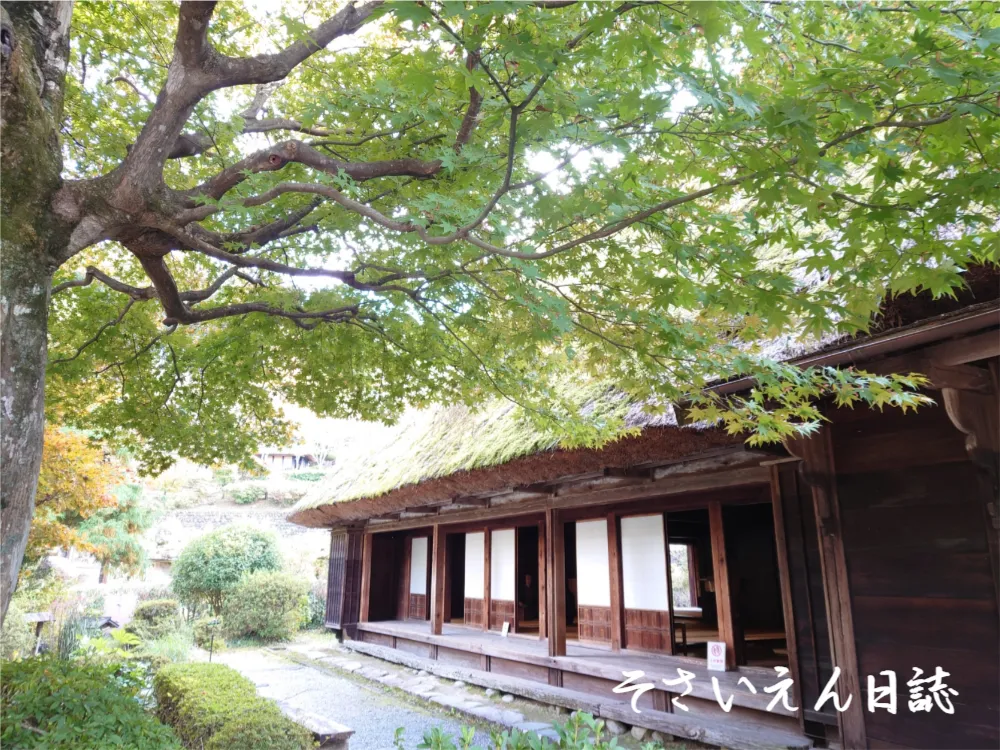 立夏の意味 季節の知恵