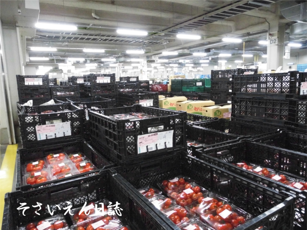 トマト保存 物流倉庫