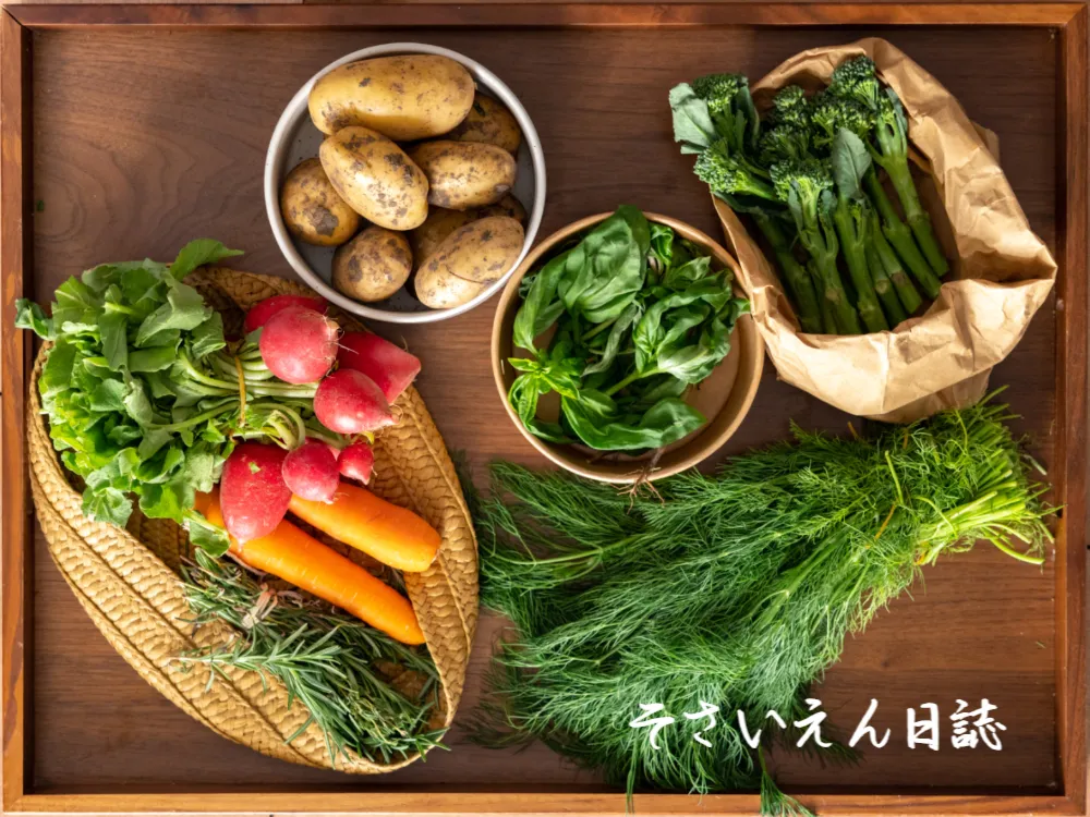 新じゃが料理 初夏の香り