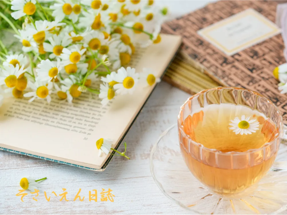 園芸書 立夏の庭しごと
