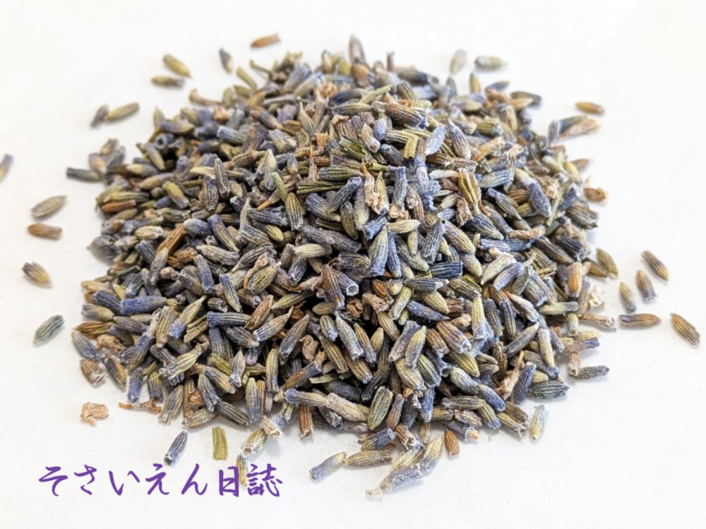 ハーブ流通 乾燥ラベンダー
