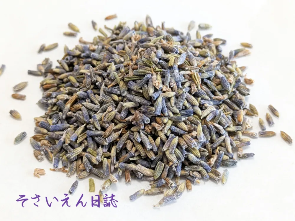 ハーブ流通 乾燥ラベンダー