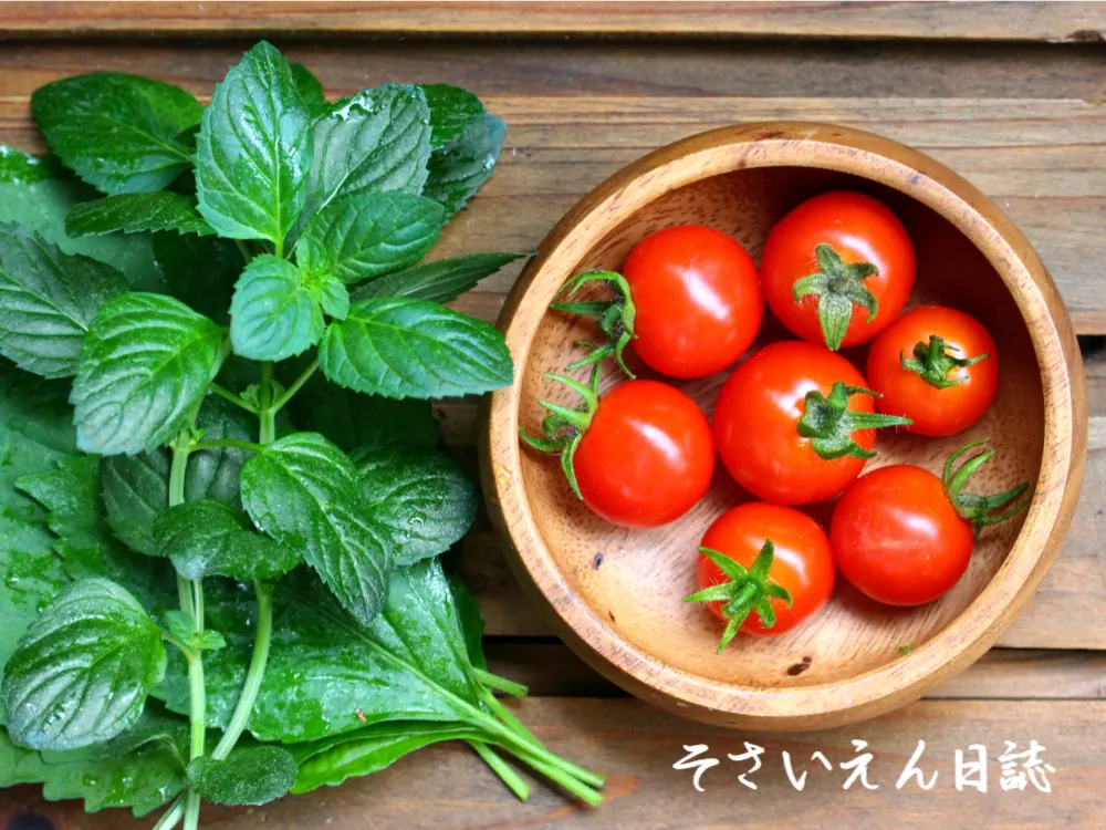 虫チェック やさしい対策法