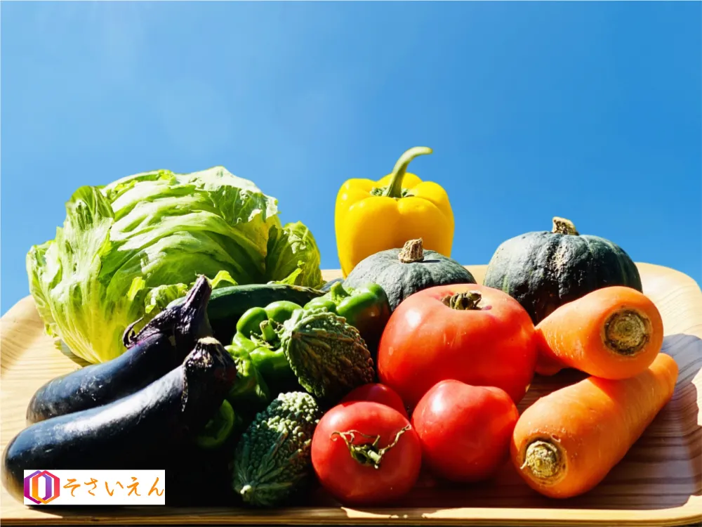 青空を背にする収穫野菜