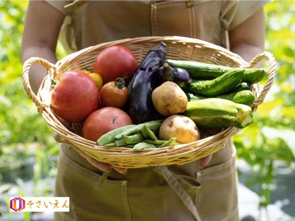 野菜籠を持つ女性